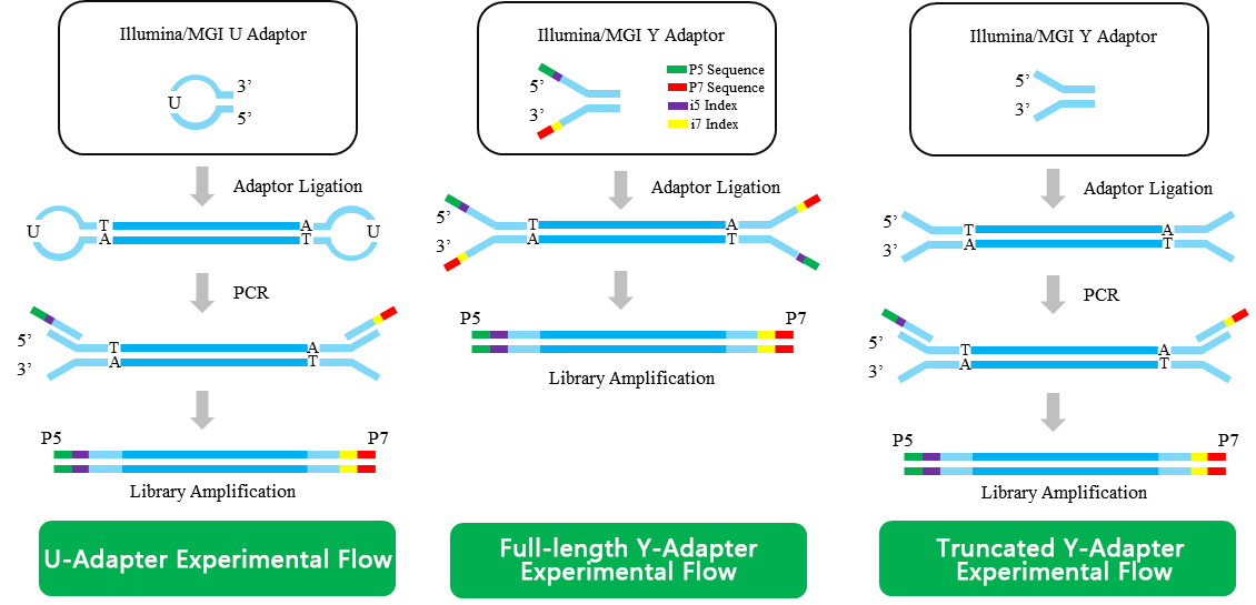 Adapter Schematic Process